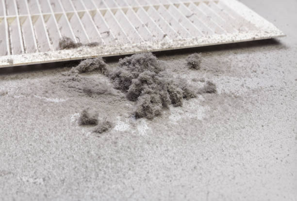 Best HVAC Air Duct Cleaning  in Duluth, GA